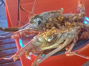 Langostas del restaurante del Mar en Tuxpan