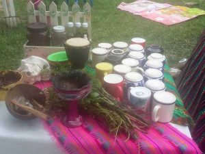 Ingredientes de bienestar para Temazcal en Tuxpan, Veracruz