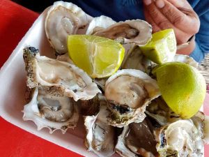 Deliciosas ostiones en su concha del Restaurante Mar de Plata en la playa de Tuxpan, Veracruz