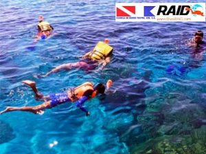 Paseos a los arrecifes coralinos de Tuxpan, Veracruz