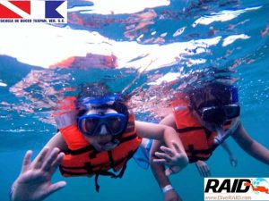 Excursiones de snorkel en la Isla de Lobos en Tuxpan, Veracruz
