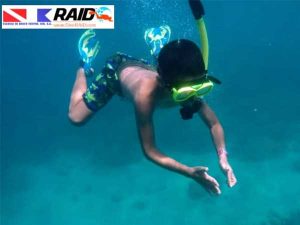 Snorkel en la Isla de Lobos desde el puerto de Tuxpan, Veracruz