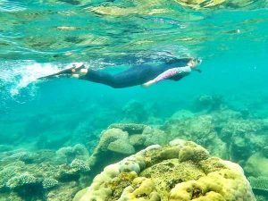 Snorkeleo y Buceo en el arrecife de Isla de Lobos (Tuxpan) - Aqualorey