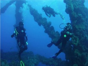 Buceo en el sistema arrecifal Lobos Tuxpan - Aqualorey