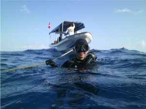 Buceo y Snorkeleo en los arrecifes de Tuxpan - Aqualorey