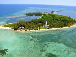 Snorkeleo y Buceo en el arrecife de Isla de Lobos (Tuxpan) - Aqualorey - Tours
