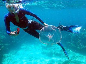 Snorkeleo y Buceo en el arrecife de Isla de Lobos (Tuxpan) - Aqualorey - Cómo llegar Viajes Seguros