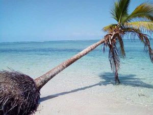 Snorkeleo y Buceo en el arrecife de Isla de Lobos (Tuxpan) - Aqualorey Tamiahua