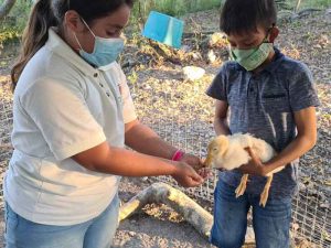 Ecoturismo Tuxpan Veracruz - Glamping & Adventure Costa Rica - 4