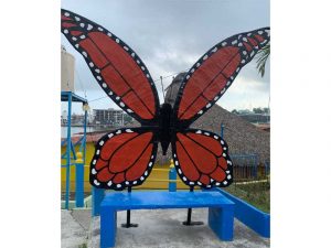 Paseos en lancha en Tuxpan, Veracruz - Negretti en Santiago de la Peña - 1