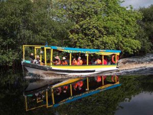 Paseos en lancha a los manglares en Tuxpan Veracruz - Negretti