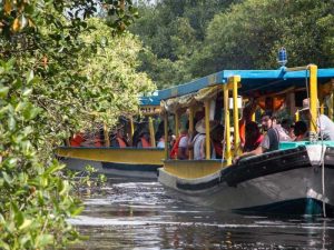 Paseos en lancha en Tuxpan Veracruz - Negretti - 27