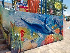 Paseos en lancha en Tuxpan Veracruz - Paseos acuáticos Negretti 3