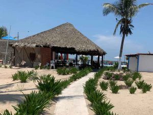 Hotel restaurante alberca playa tuxpan - Pachá Beach - New 5